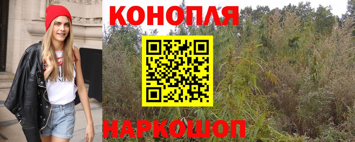 Бошки марихуана семена Шарыпово